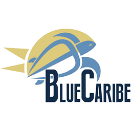 Blue Caribe Tours