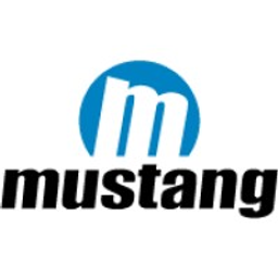Mustang Shoes